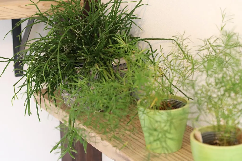 Guest House E-Nine Kyōto Ferienhaus